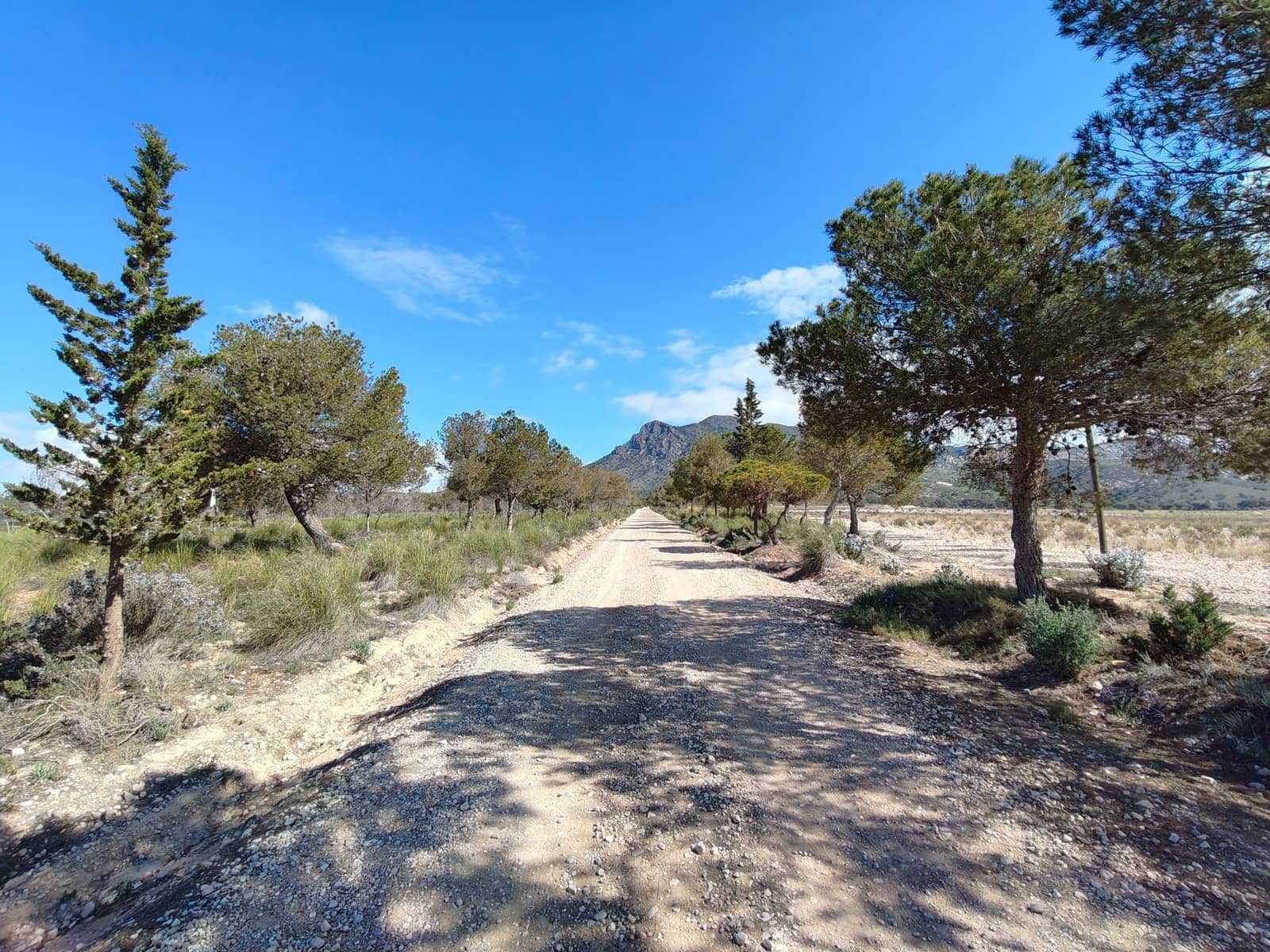 8 slaapkamer Villa te koop in Jumilla - € 316.000 (Ref: 8932060)