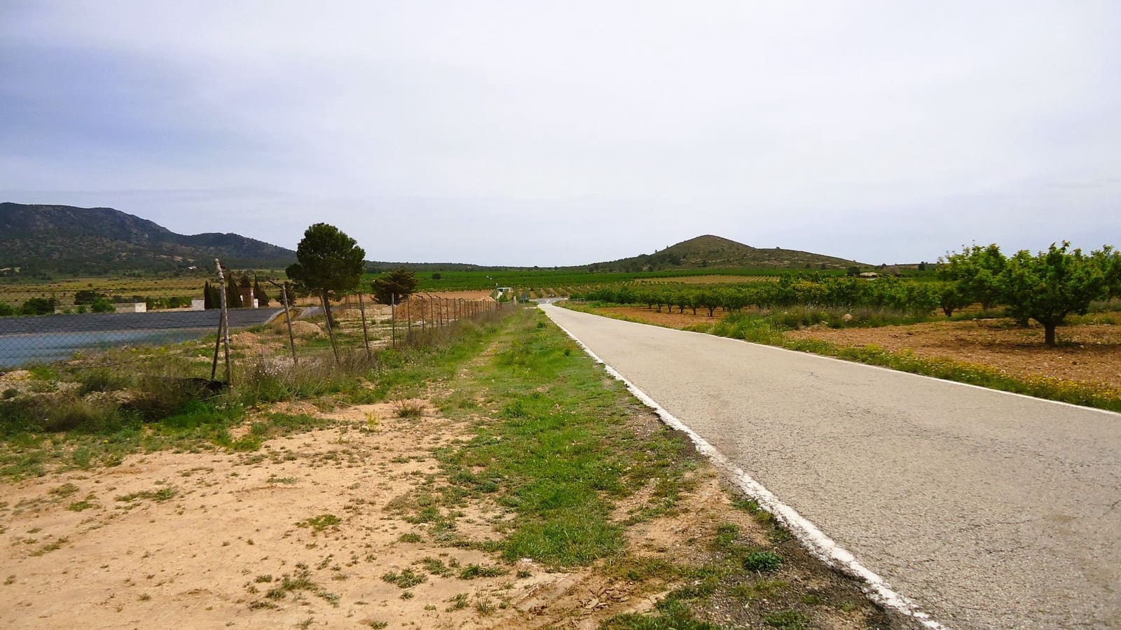 Finca/Country House for sale in Yecla - € 117,900 (Ref: 8956828)