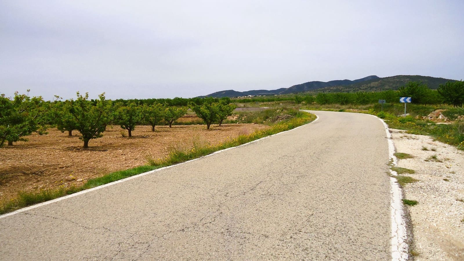 Finca/Country House for sale in Yecla - € 117,900 (Ref: 8956828)