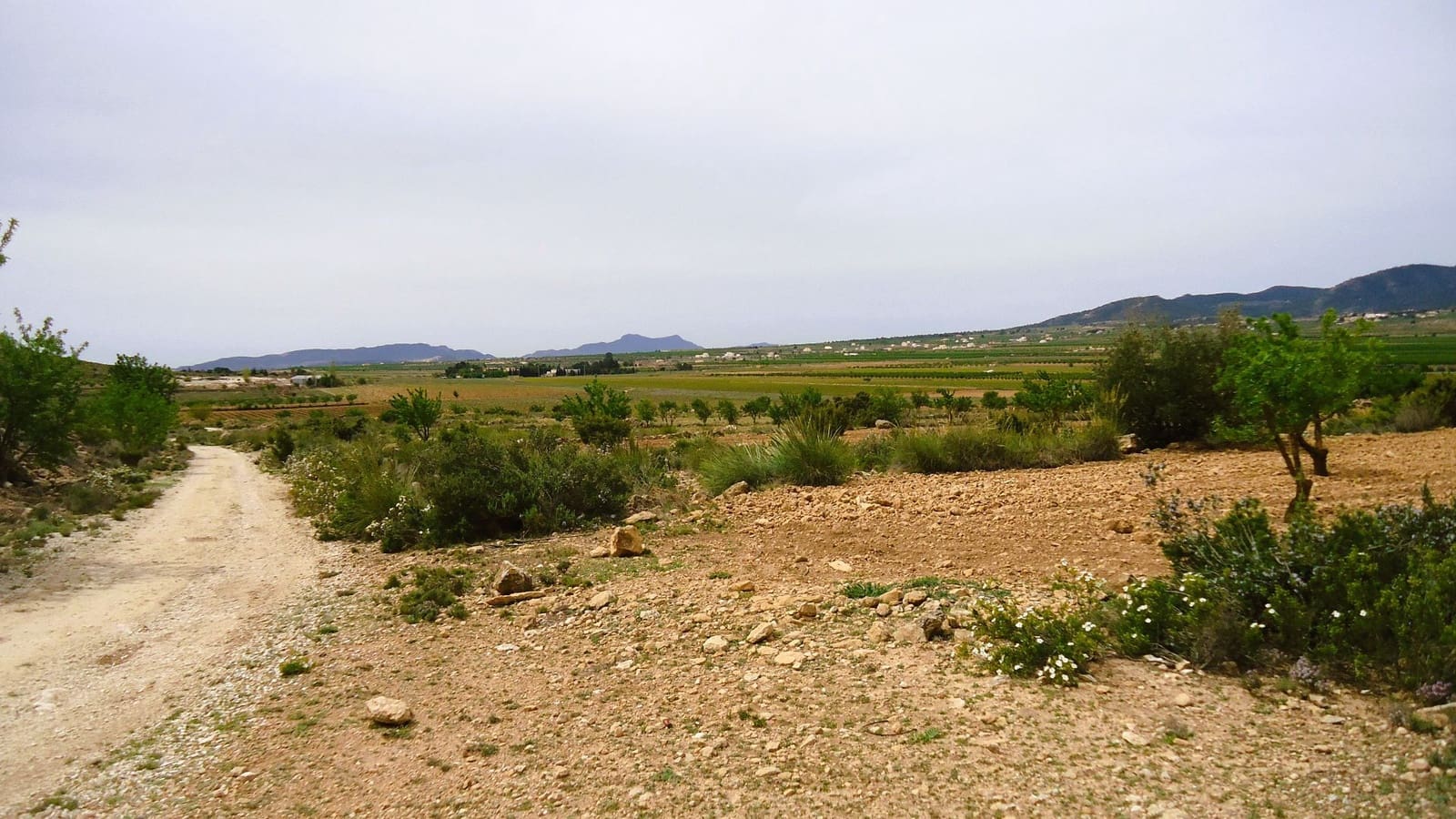 Finca/Country House for sale in Pinoso - € 15,900 (Ref: 8956829)