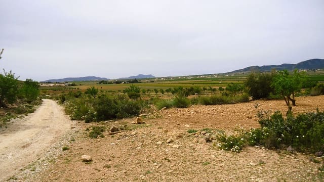 Finka/Dom wiejski na sprzedaż w Pinoso - 15 900 € (Ref: 8956829)