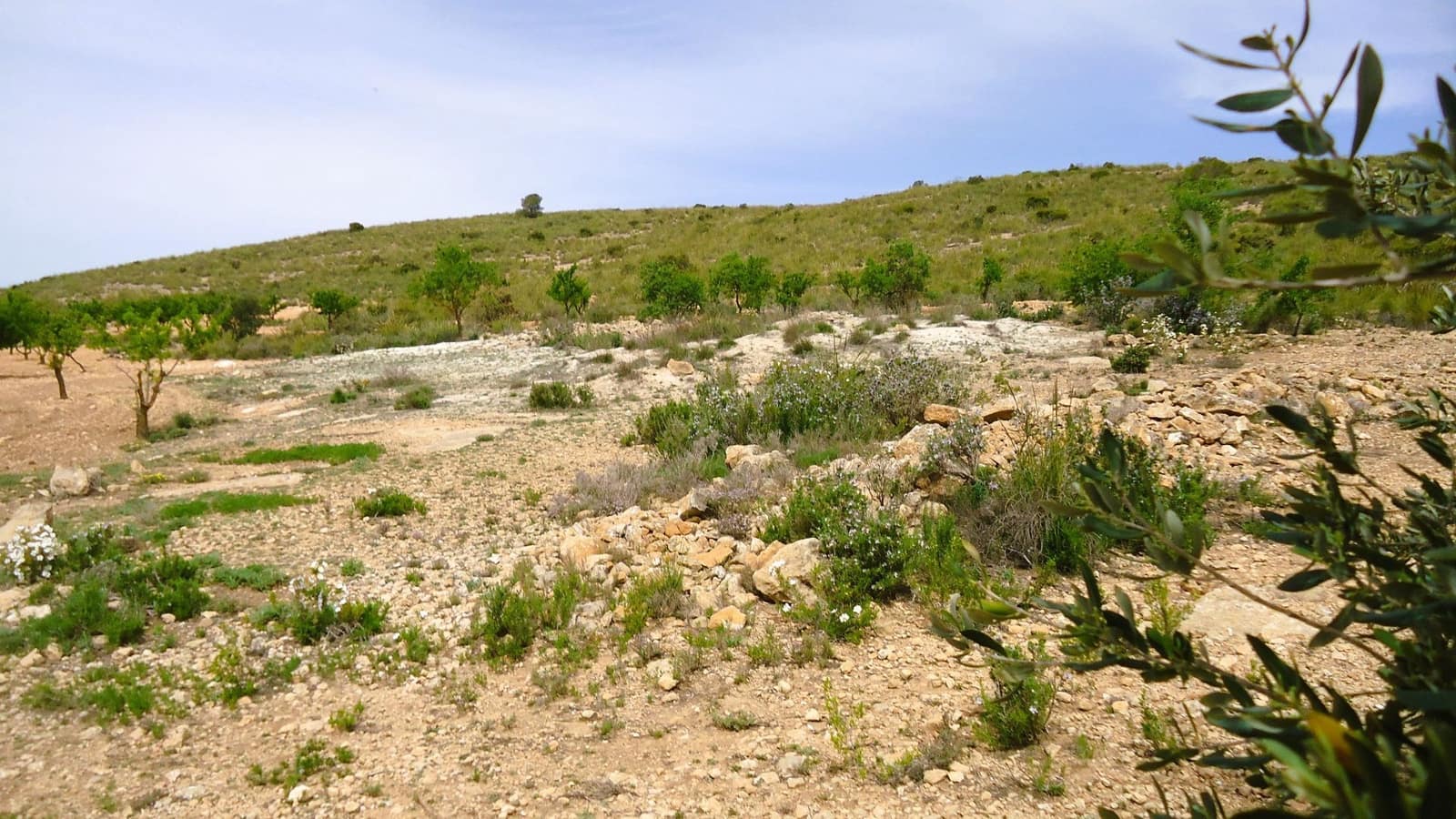 Finca/Country House for sale in Pinoso - € 15,900 (Ref: 8956829)