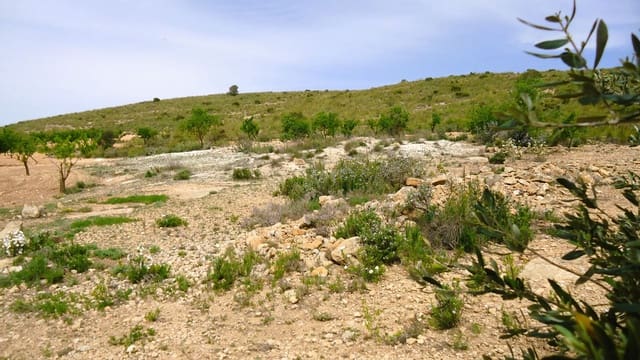 Finka/Dom wiejski na sprzedaż w Pinoso - 15 900 € (Ref: 8956829)