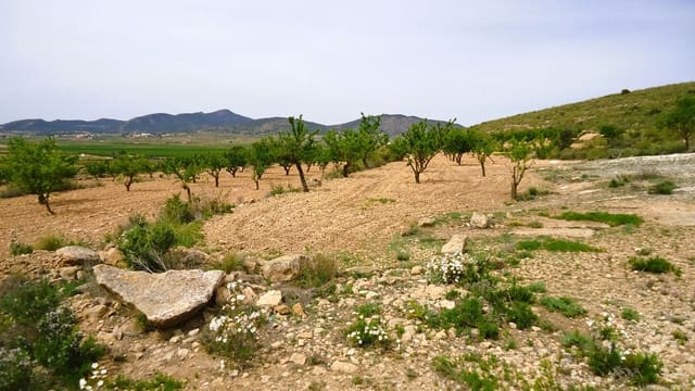 Finka/Dom wiejski na sprzedaż w Pinoso - 15 900 € (Ref: 8956829)