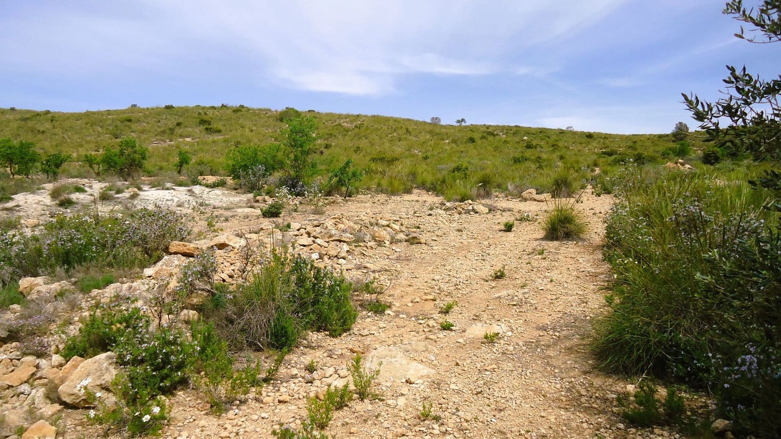 Finca/Country House for sale in Pinoso - € 15,900 (Ref: 8956829)