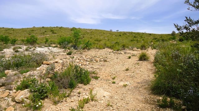 Finka/Dom wiejski na sprzedaż w Pinoso - 15 900 € (Ref: 8956829)