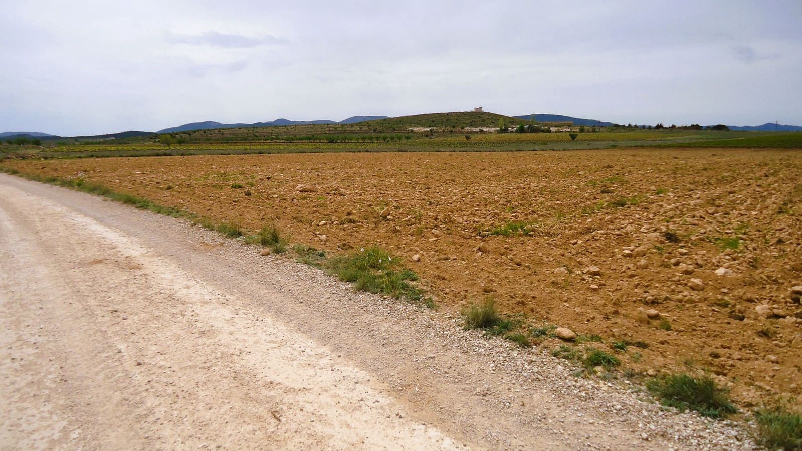 Finca/Landehus til salg i Pinoso - € 158.900 (Ref: 8956831)