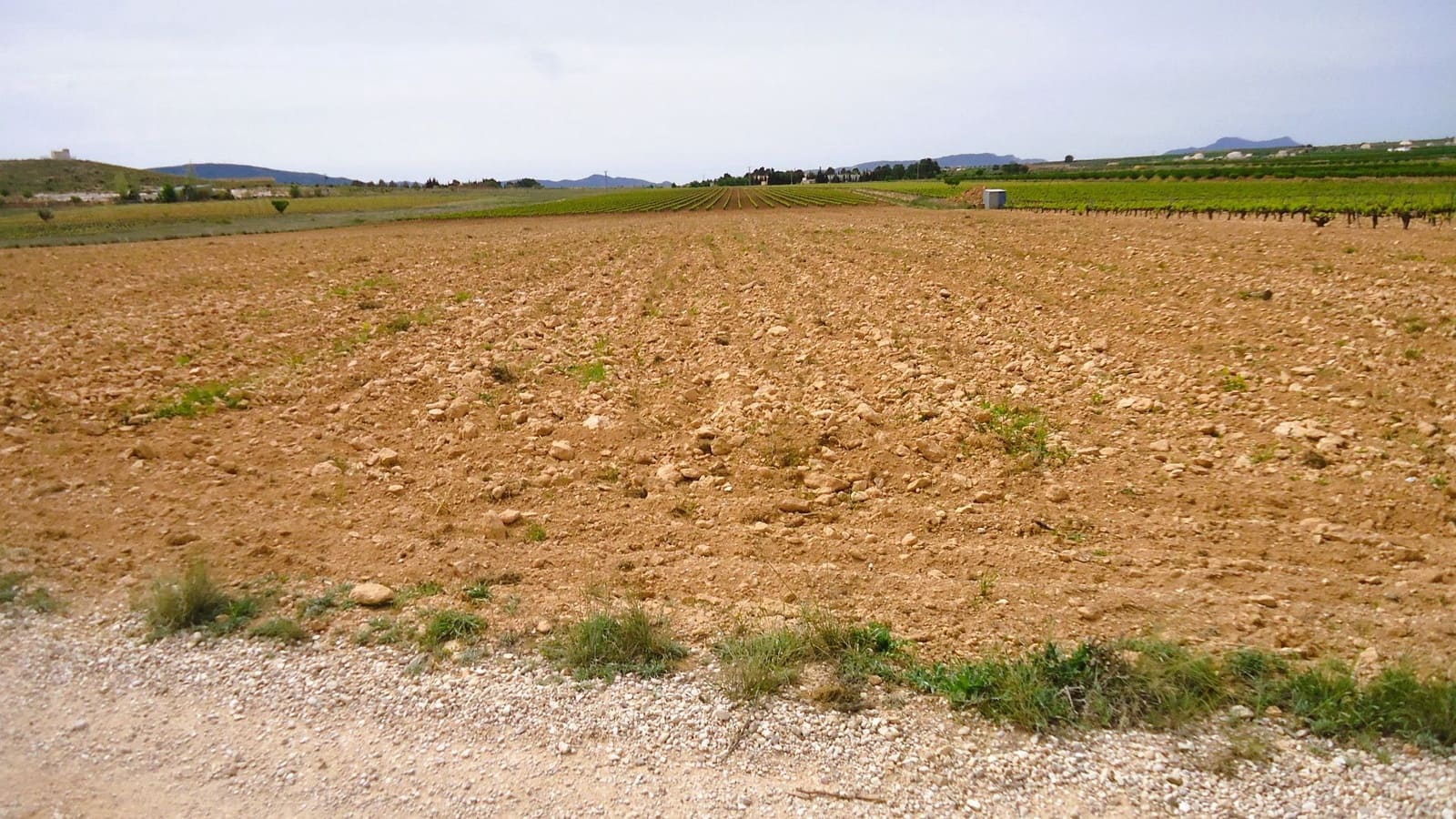 Finca/Landehus til salg i Pinoso - € 158.900 (Ref: 8956831)