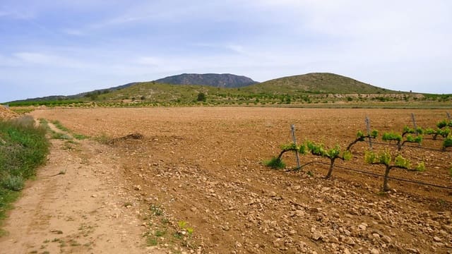 Finca/Landehus til salg i Pinoso - € 158.900 (Ref: 8956831)