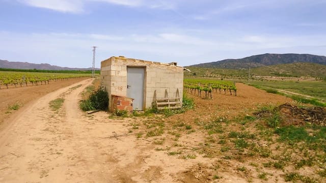Finca/Landehus til salg i Pinoso - € 158.900 (Ref: 8956831)