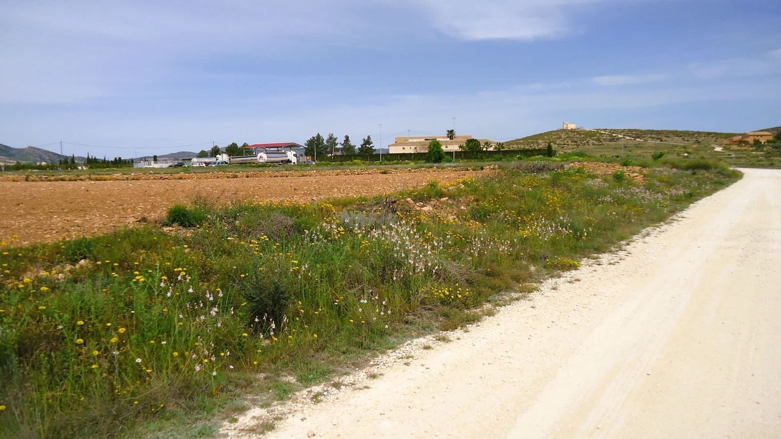 Finca/Landehus til salg i Pinoso - € 41.900 (Ref: 8956832)