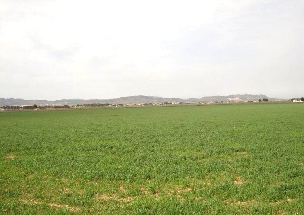 Finca/Herregård til salgs i Yecla - € 450 000 (Ref: 8971885)