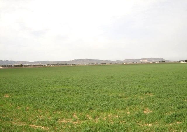 Finca/Herregård til salgs i Yecla - € 450 000 (Ref: 8971885)