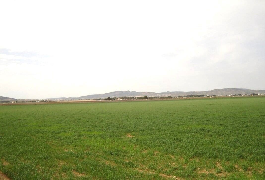 Finca/Herregård til salgs i Yecla - € 450 000 (Ref: 8971885)