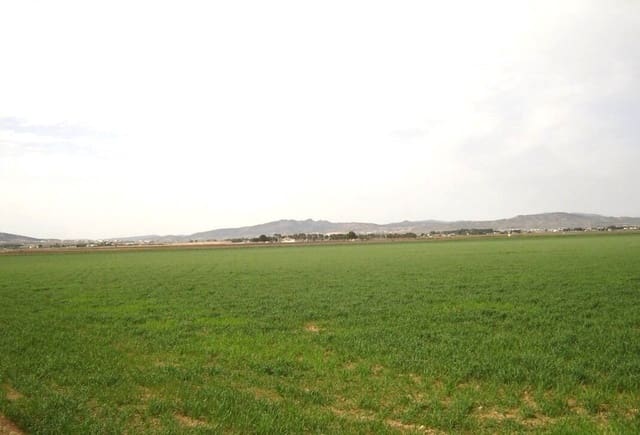 Finca/Herregård til salgs i Yecla - € 450 000 (Ref: 8971885)