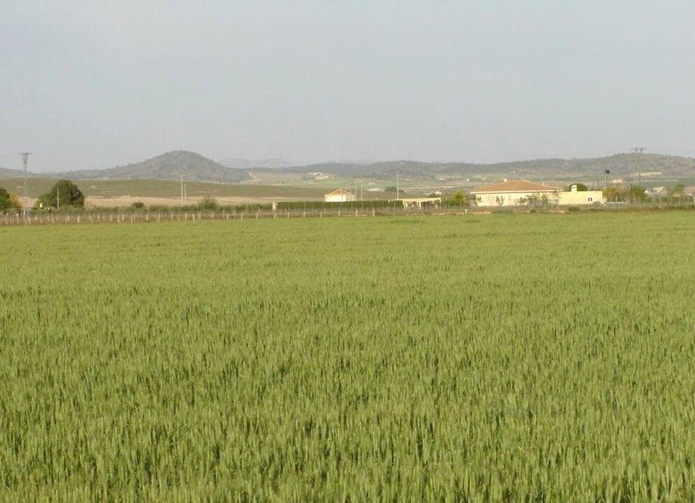 Finca/Herregård til salgs i Yecla - € 450 000 (Ref: 8971885)