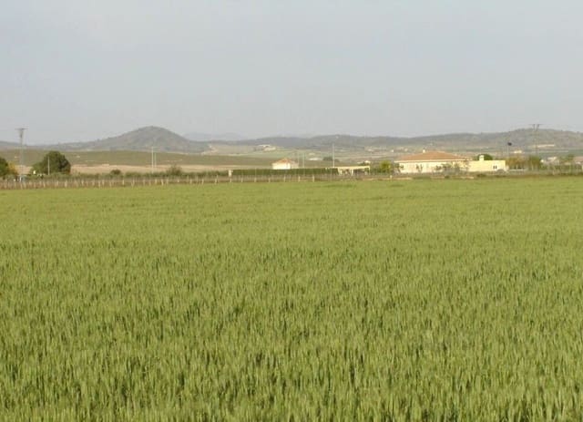 Finca/Herregård til salgs i Yecla - € 450 000 (Ref: 8971885)