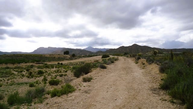 Finca/Maison de Campagne à vendre à Abanilla - 15 000 € (Ref: 8985440)