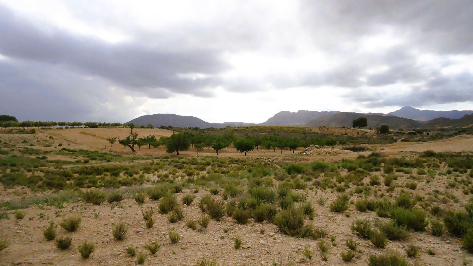 Finca/Maison de Campagne à vendre à Abanilla - 15 000 € (Ref: 8985440)