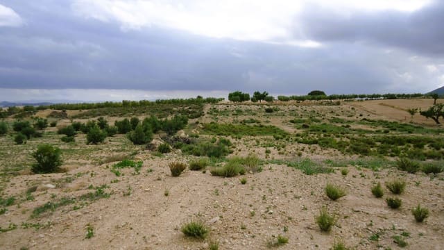 Finca/Maison de Campagne à vendre à Abanilla - 15 000 € (Ref: 8985440)