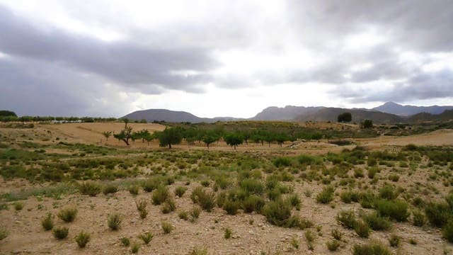 Finca/Maison de Campagne à vendre à Abanilla - 15 000 € (Ref: 8985440)