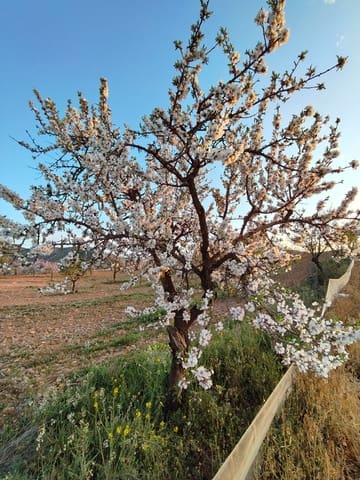 Maalaistalo myytävänä paikassa Lorca - 500 000 € (Ref: 9036388)