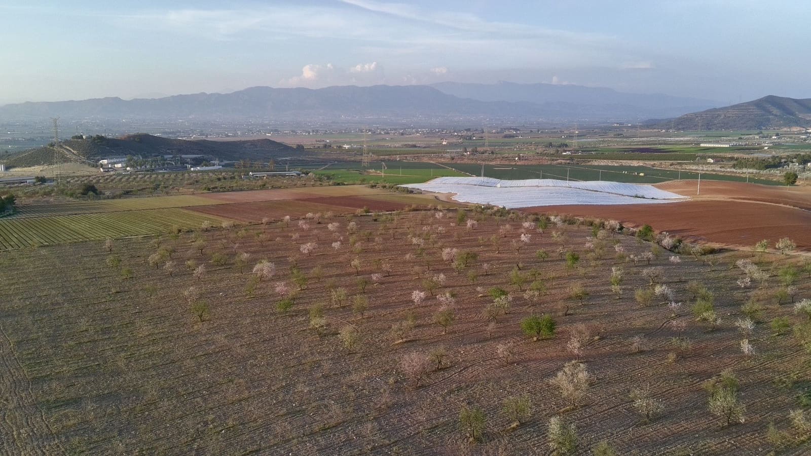 Maalaistalo myytävänä paikassa Lorca - 500 000 € (Ref: 9036388)