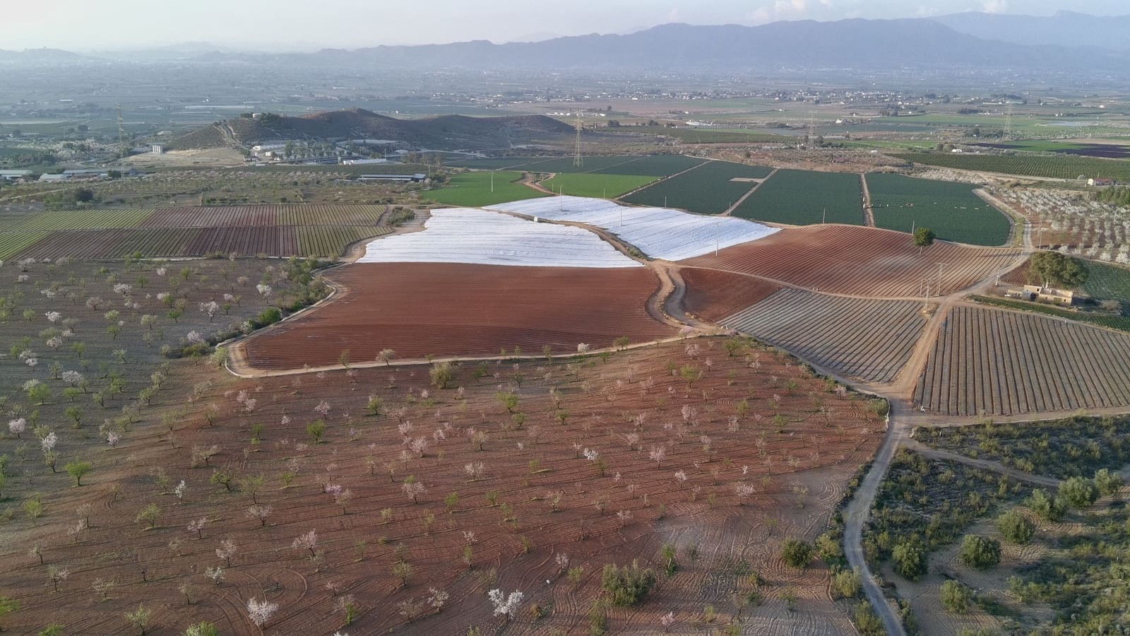 Maalaistalo myytävänä paikassa Lorca - 500 000 € (Ref: 9036388)