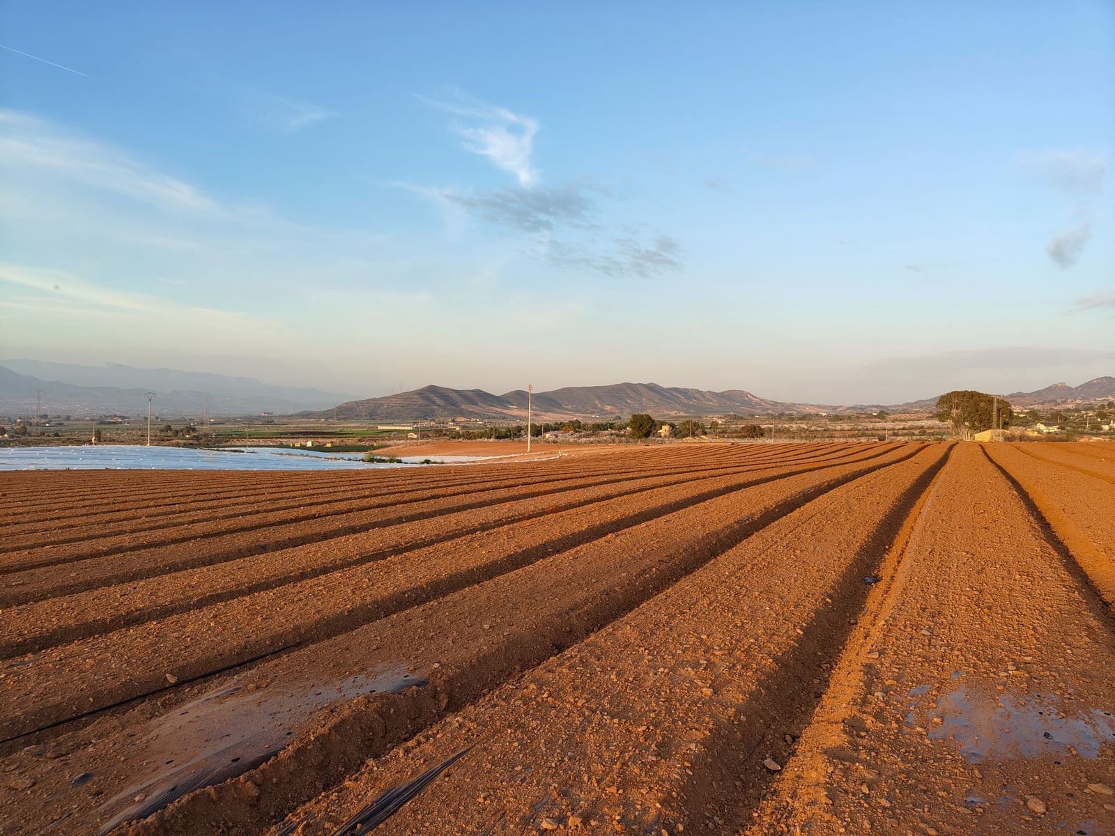 Maalaistalo myytävänä paikassa Lorca - 500 000 € (Ref: 9036388)
