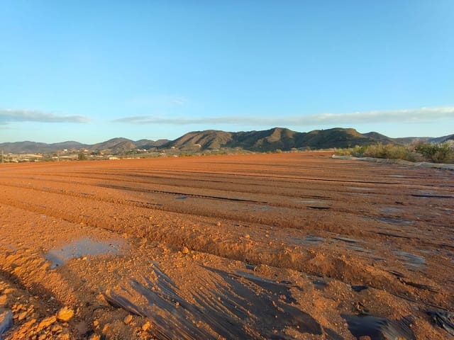 Maalaistalo myytävänä paikassa Lorca - 500 000 € (Ref: 9036388)