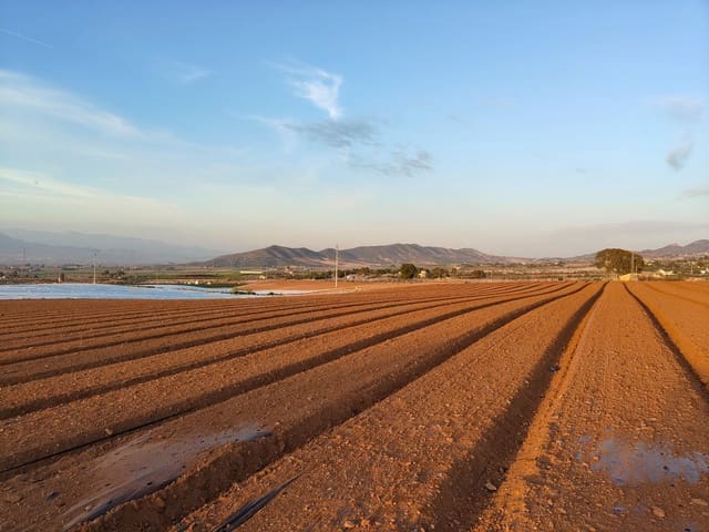 Maalaistalo myytävänä paikassa Lorca - 500 000 € (Ref: 9036388)