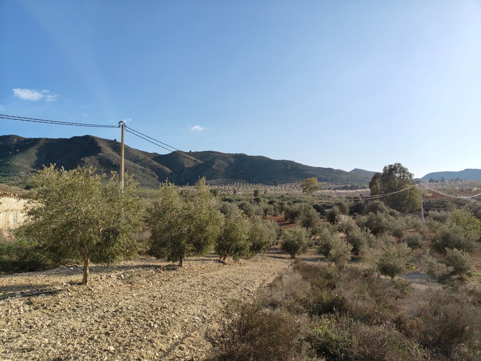 Maalaistalo myytävänä paikassa Lorca - 500 000 € (Ref: 9036388)