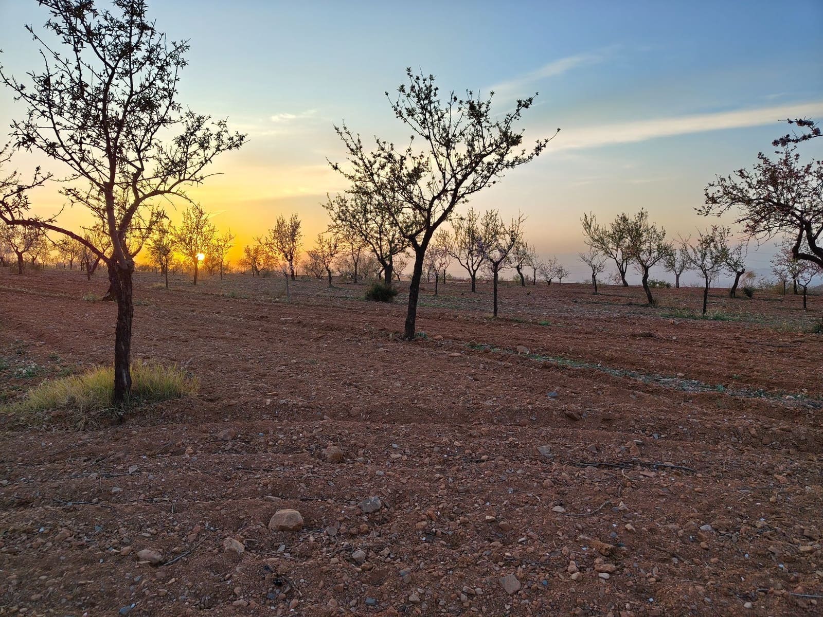 Maalaistalo myytävänä paikassa Lorca - 500 000 € (Ref: 9036388)