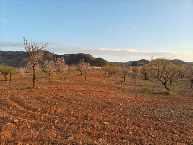 Finca/Landehus til salg i Murcia by - € 500.000 (Ref: 9036388)