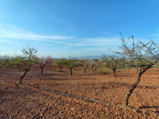 Maalaistalo myytävänä paikassa Lorca - 500 000 € (Ref: 9036388)