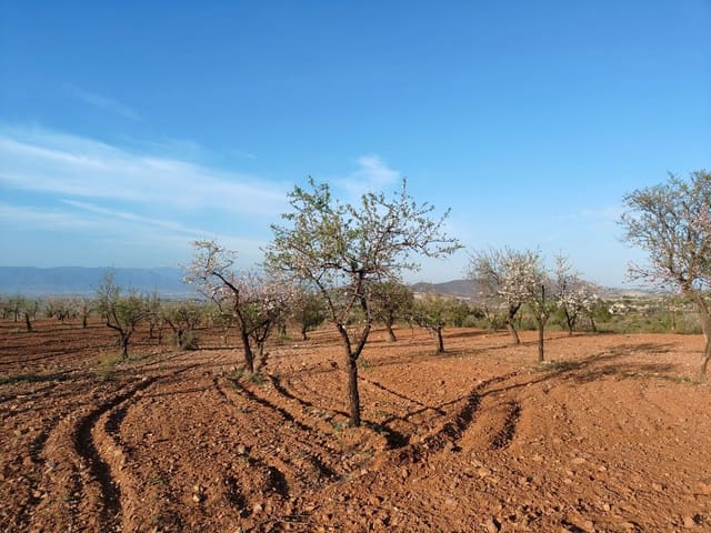 Maalaistalo myytävänä paikassa Lorca - 500 000 € (Ref: 9036388)