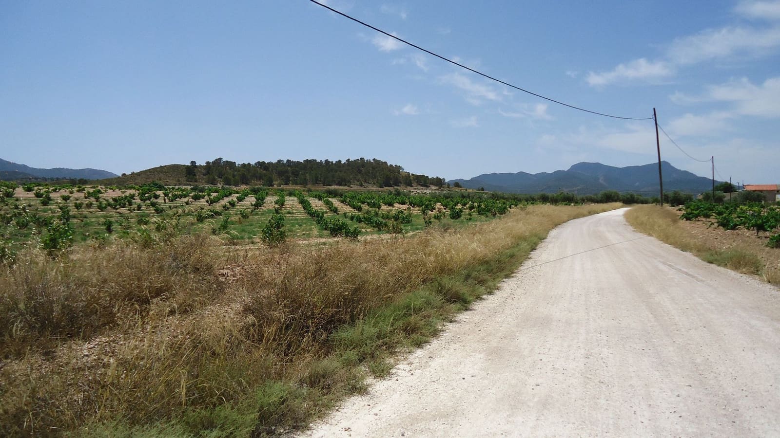 Finca/Landehus til salg i Jumilla - € 33.500 (Ref: 9136880)