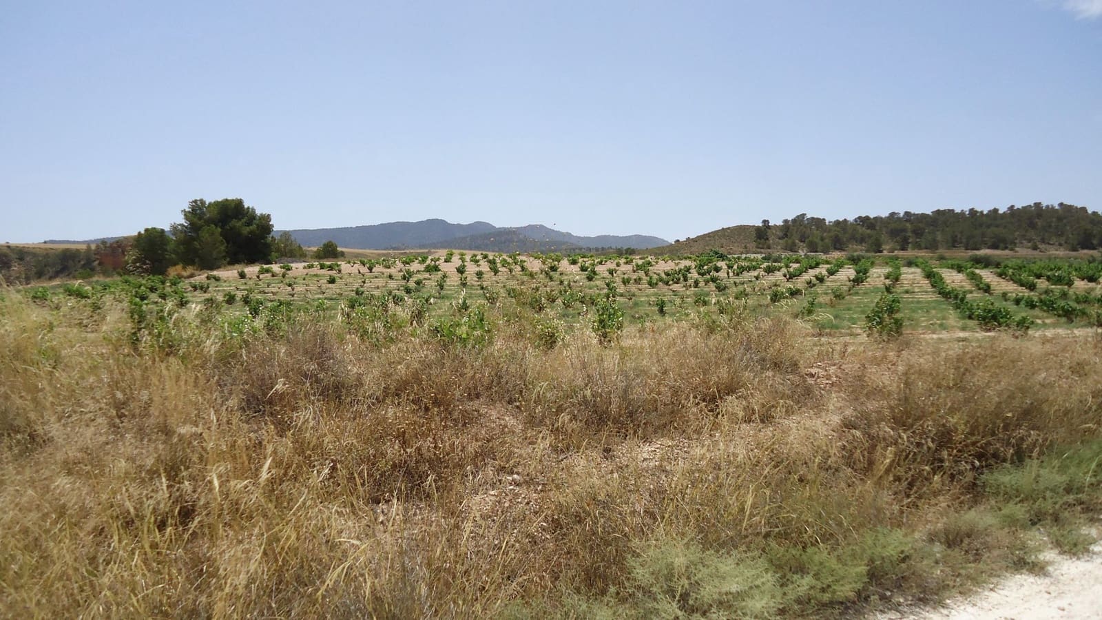 Finca/Landehus til salg i Jumilla - € 33.500 (Ref: 9136880)