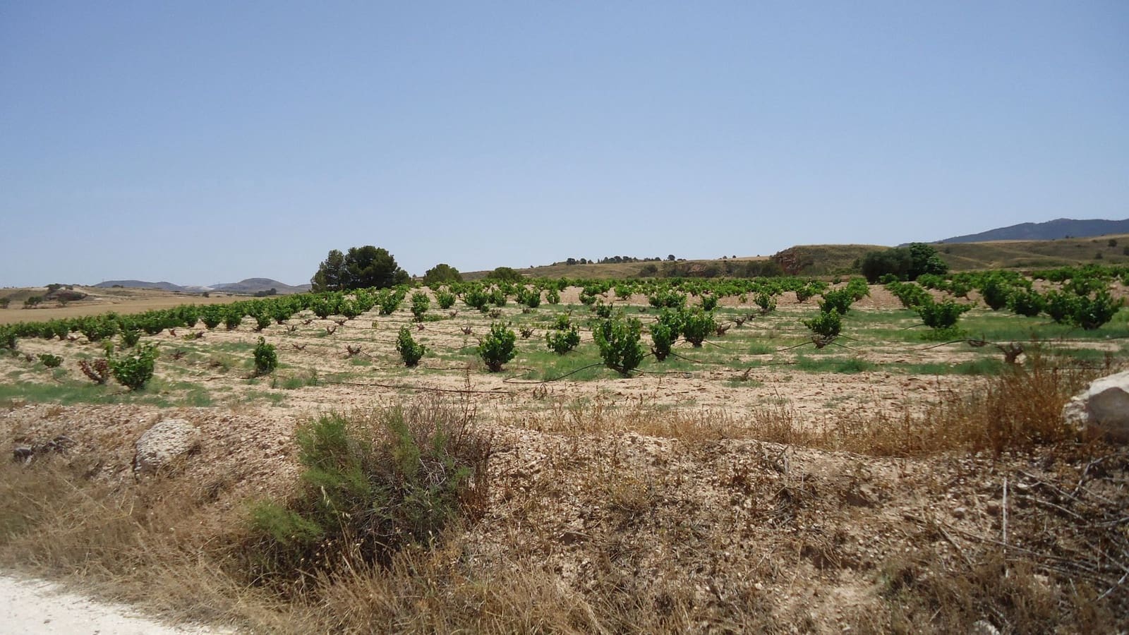 Finca/Landehus til salg i Jumilla - € 33.500 (Ref: 9136880)