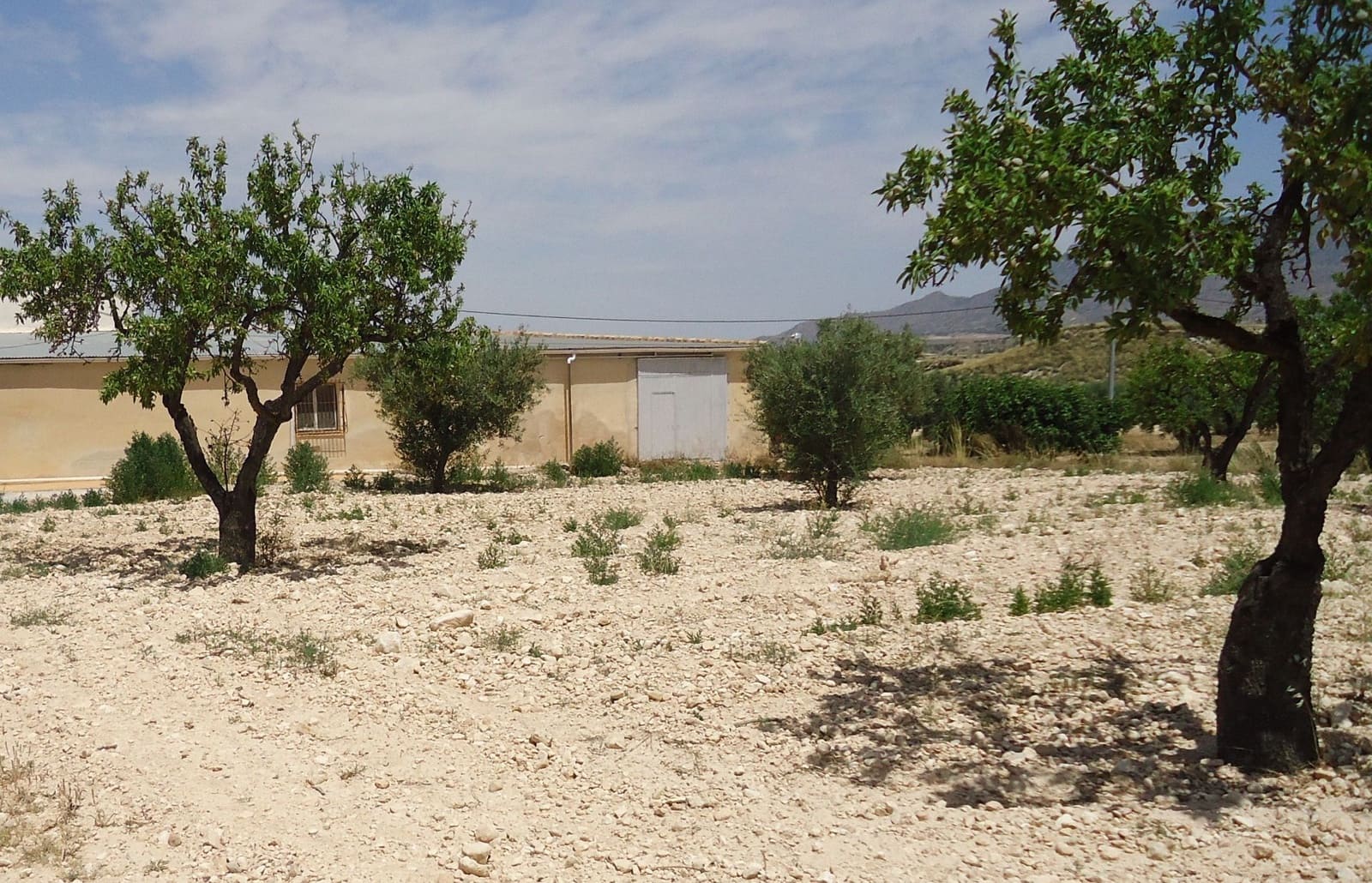 Finca/Landehus til salg i Jumilla - € 33.500 (Ref: 9136880)