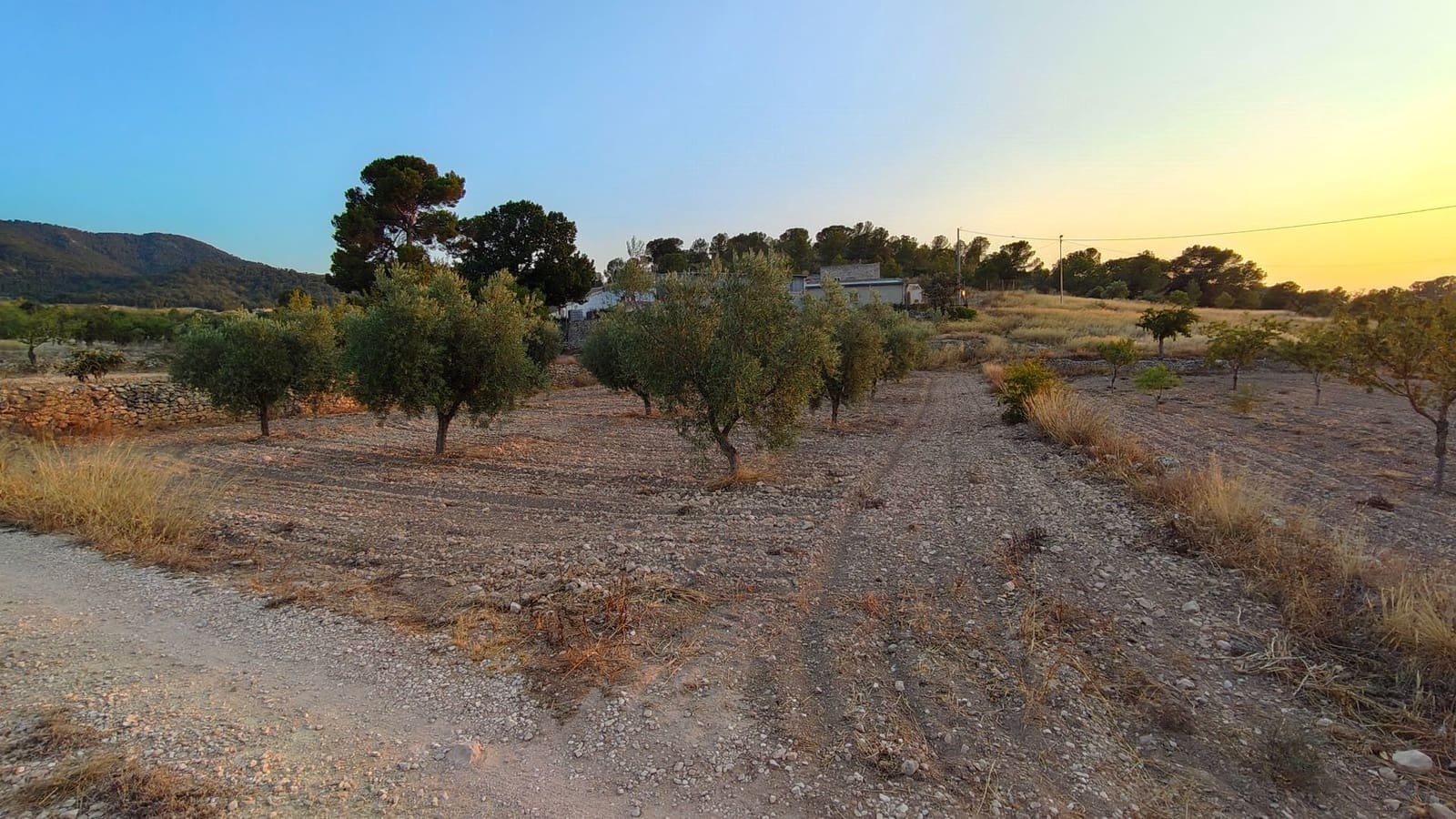 Finca/Herregård til salgs i Abanilla - € 17 500 (Ref: 9159245)