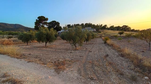 Finca/Maison de Campagne à vendre à Abanilla - 17 500 € (Ref: 9159245)