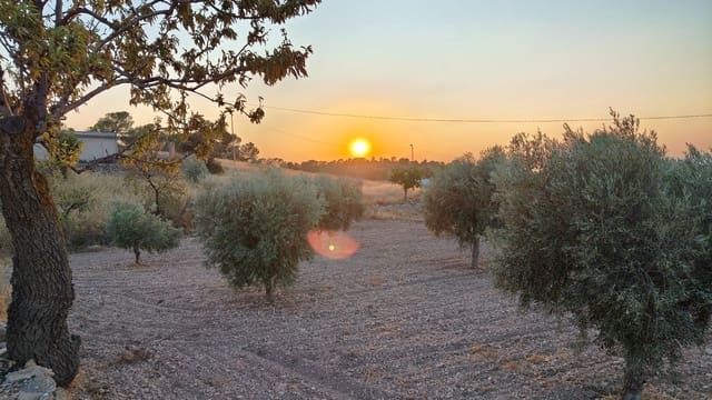 Finca/Maison de Campagne à vendre à Abanilla - 17 500 € (Ref: 9159245)