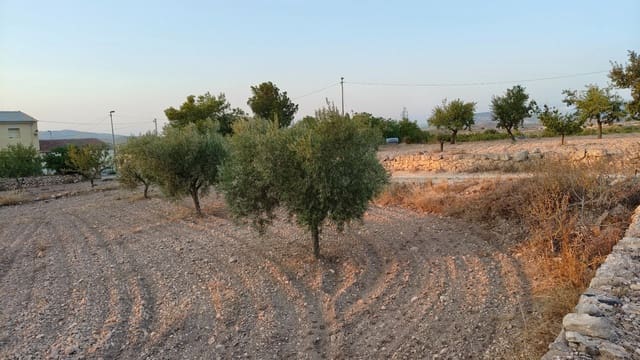 Finca/Maison de Campagne à vendre à Abanilla - 17 500 € (Ref: 9159245)