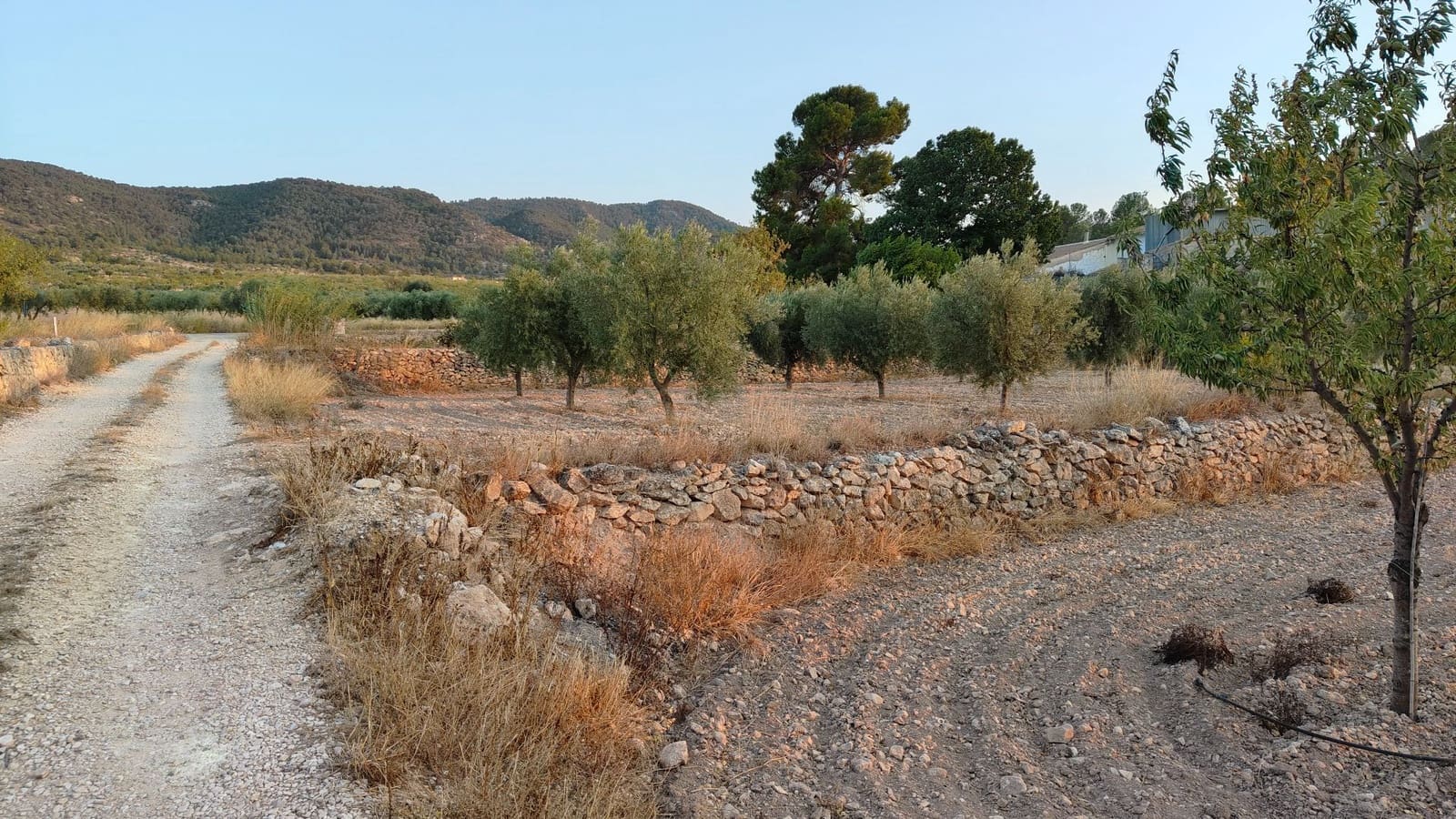 Finca/Herregård til salgs i Abanilla - € 17 500 (Ref: 9159245)