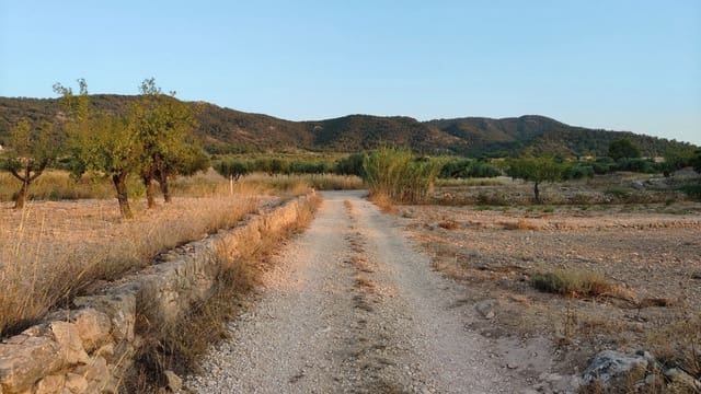 Finca/Maison de Campagne à vendre à Abanilla - 17 500 € (Ref: 9159245)
