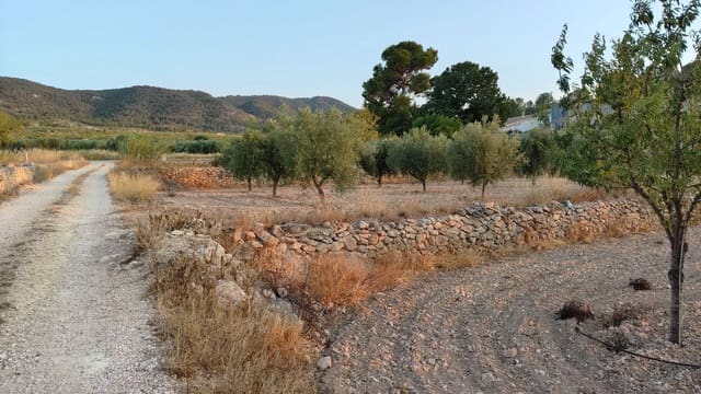 Finca/Maison de Campagne à vendre à Abanilla - 17 500 € (Ref: 9159245)