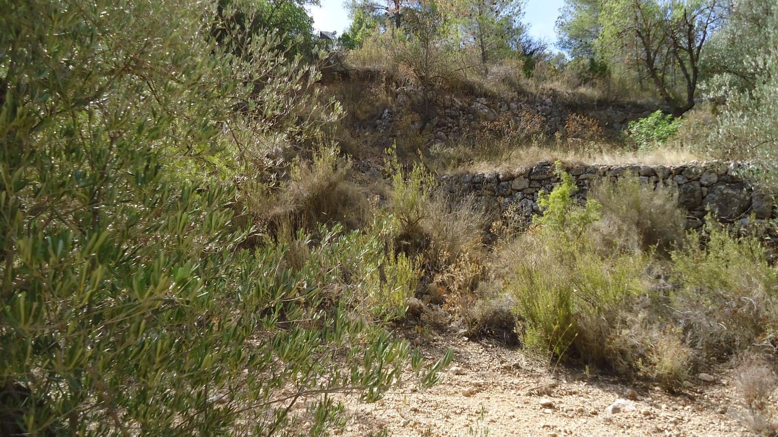 Finca/Herregård til salgs i Abanilla - € 17 500 (Ref: 9159245)