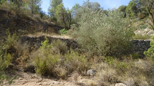 Finca/Maison de Campagne à vendre à Abanilla - 17 500 € (Ref: 9159245)