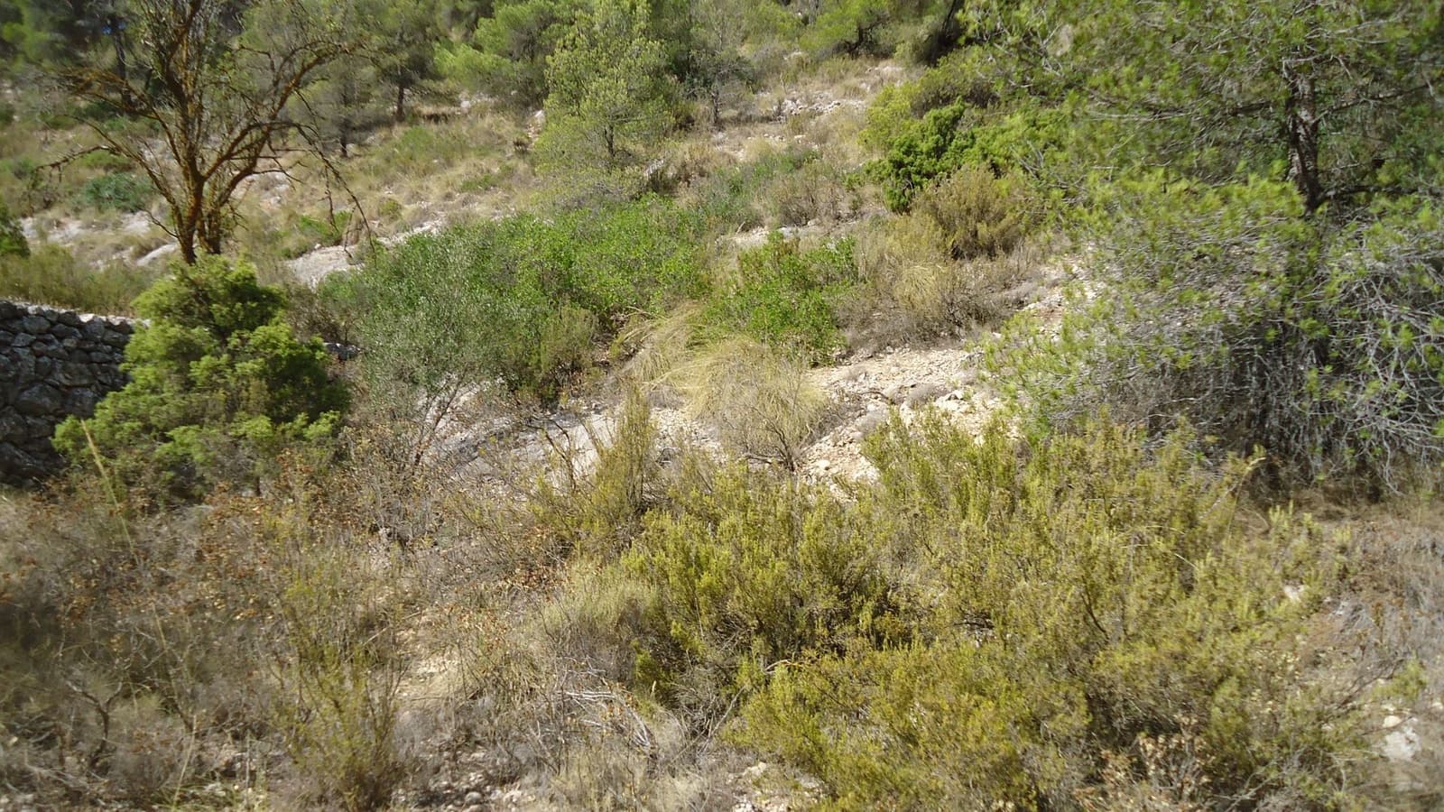 Finca/Herregård til salgs i Abanilla - € 17 500 (Ref: 9159245)